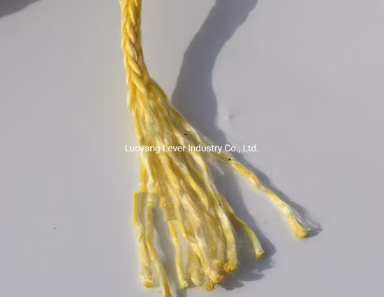 Pp.-Seil/PE-Seil/Polyester-Seil/Nylon-Seil/Hmwpe/UHMWPE/Hmpe Schleppseil-Handkurbel Maine-Festmacher-Schleppseil für Angelausrüstung