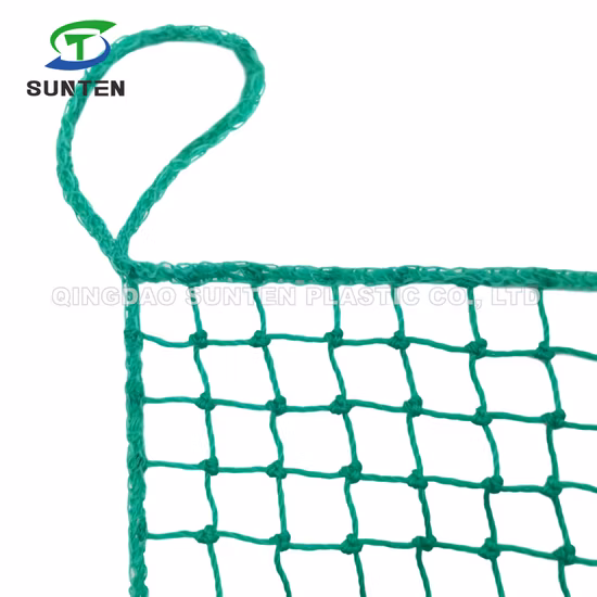 Blaues PE-Netz/Angelnetz, Frachtnetz, Nylonnetz