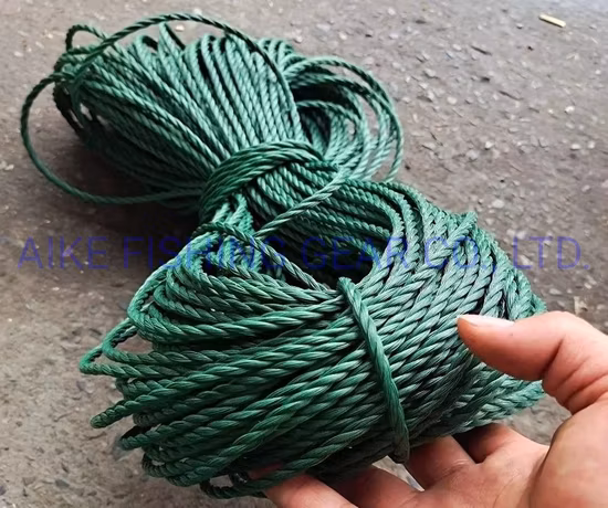 Hochwertige geflochtene/gedrehte Nylonseile, Verpackungsseile in individueller Farbe/Größe, Nylonseil zum Abschleppen von LKWs, starke Zugkraft, Industrieschlinge, Sicherheitsseil